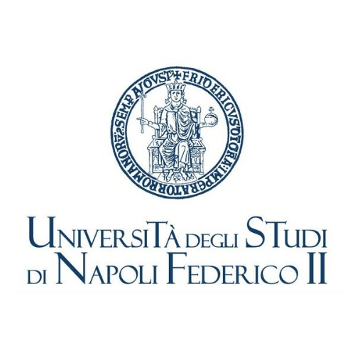 UNIVERSITA' DI  NAPOLI FEDERICO II